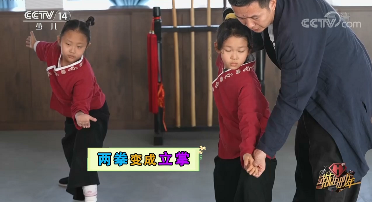 [英雄出少年]陈氏太极拳24式高清视频教程