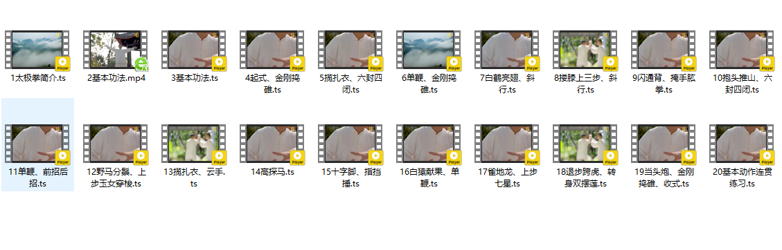 陈根正32式陈氏太极拳高清视频教程