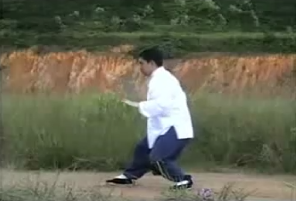 傅清泉85式杨氏太极拳视频教程 - 杨氏太极拳 - 爱太极 - 太极网