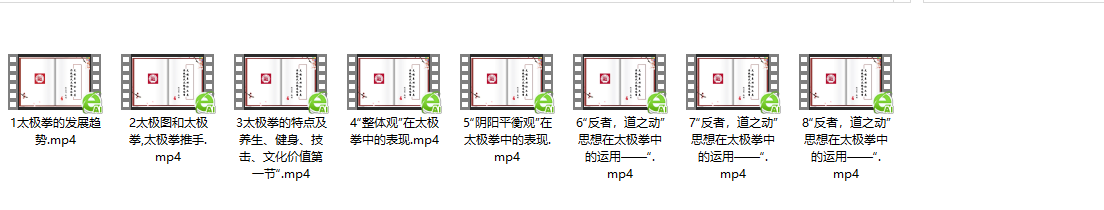 赵双印杨氏太极拳十式视频课程